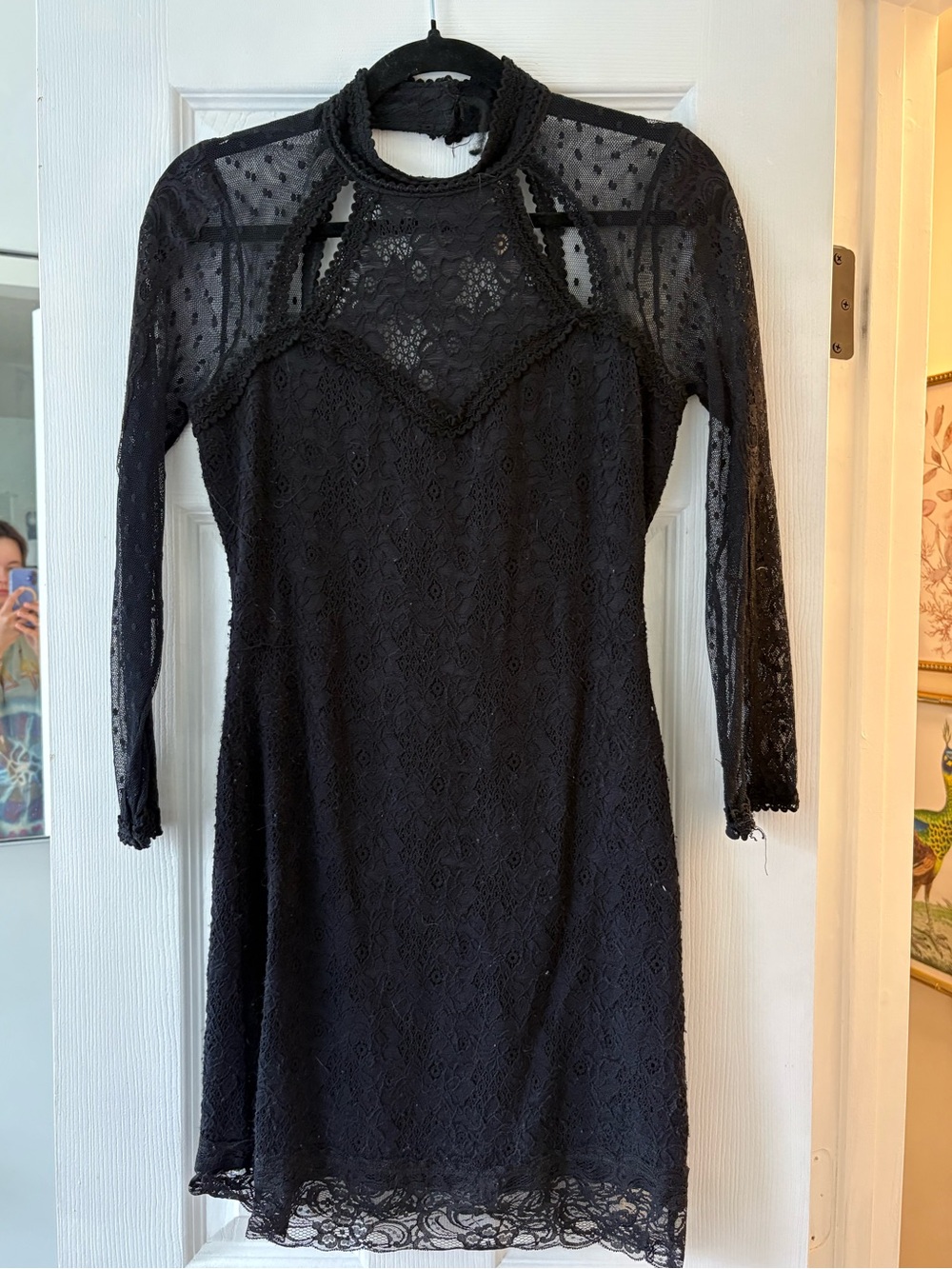 Free People Black Lace Long-Sleeve High-Neck Dress